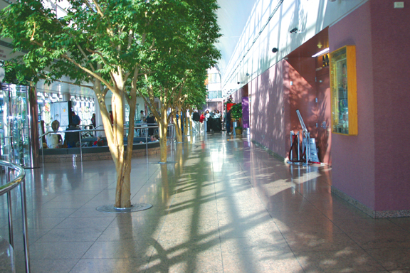 Anchorage Culture Center Anchorage Culture Center