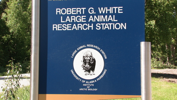 Fairbanks Alaska Large Animal Research Station Fairbanks Alaska Large Animal Research Station