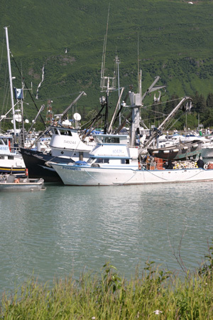 valdez Alaska Harbor valdez Alaska Harbor