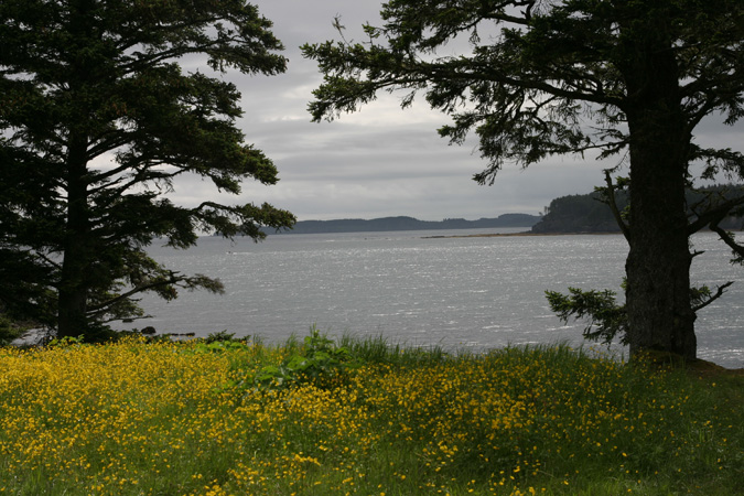 Kodiak Alaska Kodiak Alaska