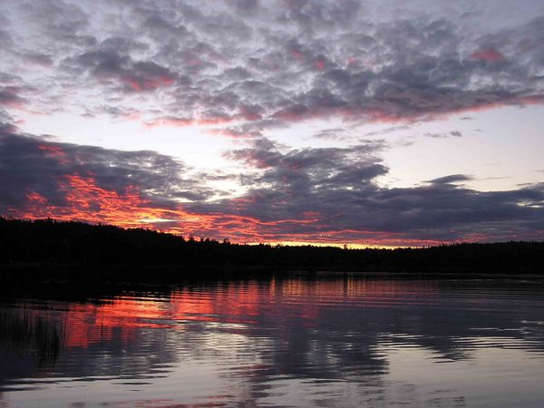 prator_lake_sunset_alaska_lineofbirds.com