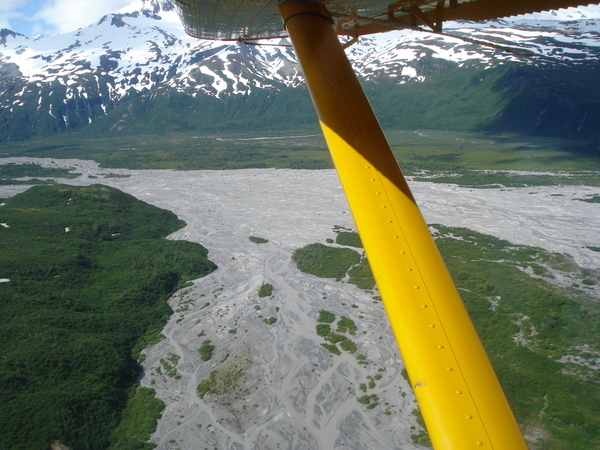 Bear Viewing Katmai National Park Alaska