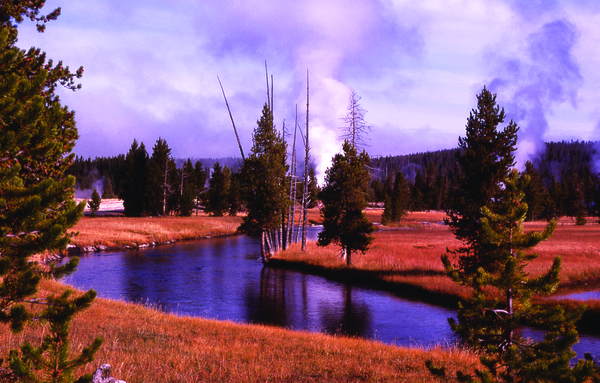 Yellowstone National Park Montana Geyser