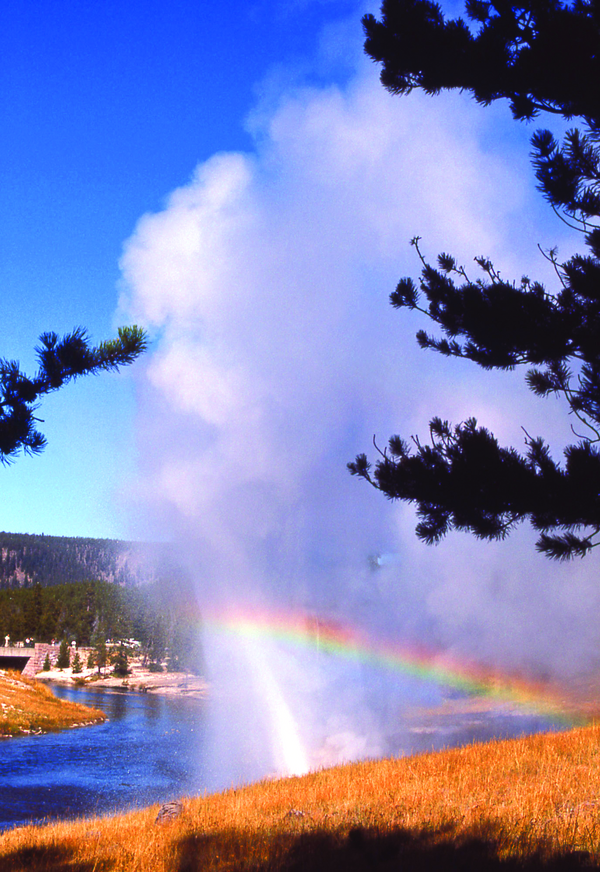 Yellowstone National Park Montana Geyser Yellowstone National Park Montana Geyser