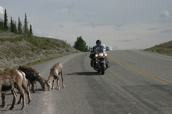 Motorcycling Alaska