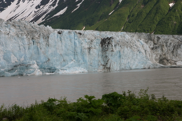 Cordova Alaska Childs Glacier
