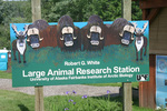Fairbanks Alaska Large Animal Research Station