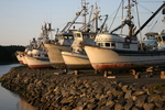 Kodiak Alaska Fishing Boats