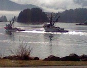 Sitka Opening Day for Herring