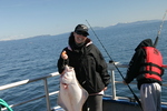 Kodiak Island Alaska Fishing