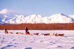 Nome Alaska Iditarod Dog Race