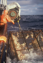 Alaska Crab Fishing