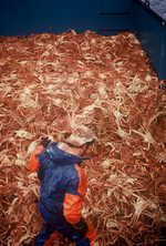 Alaska Crab Fishing