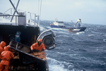 Alaska Crab Fishing