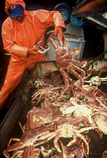 Alaska Crab Fishing